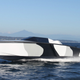 Image for article titled US Coasts Could Be Guarded by Unmanned Piranha Drone Boats